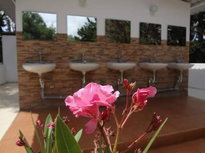 Campeggio Camping Argostoli Argostoli (Kefalonia)